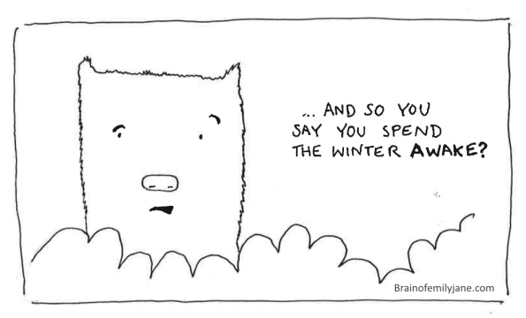 hibernate, winter, bear, February